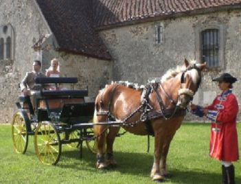 Location de calèches fête médiévale, mairie, mariage